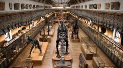 mujer-acusada-de-robar-1,5-millones-de-euros-en-oro-de-un-museo-de-paris