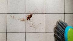 una-mujer-que-intenta-matar-una-cucaracha-incendia-un-bloque-de-apartamentos-en-corea-del-sur