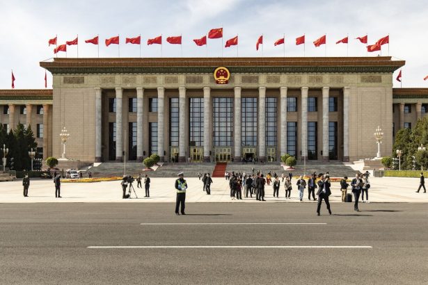 china-reune-a-empresas-extranjeras-en-un-intento-por-tranquilizar-a-las-tierras-raras