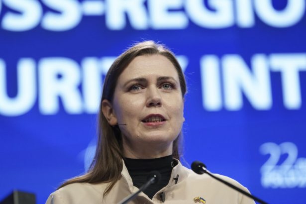 el-ministro-de-defensa-lituano-dimite-por-enfrentamientos-con-el-primer-ministro