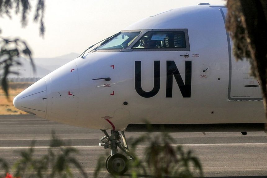 los-huties-liberan-al-personal-extranjero-de-las-naciones-unidas-detenido-en-yemen