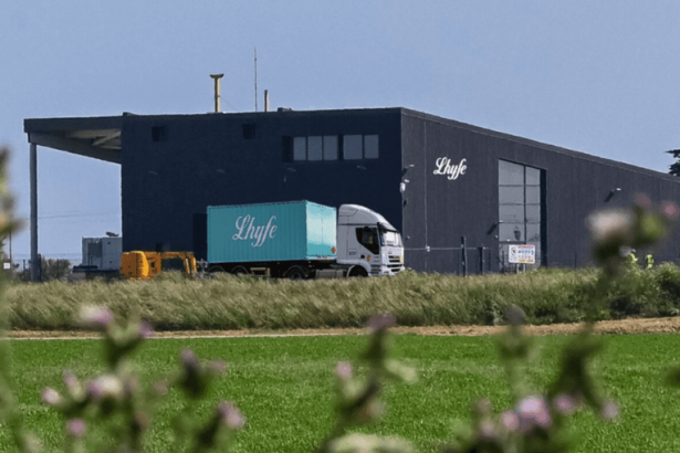 el-proyecto-green-horizon-de-100-mw-de-lhyfe-esta-en-camino-de-recibir-luz-verde-el-proximo-ano