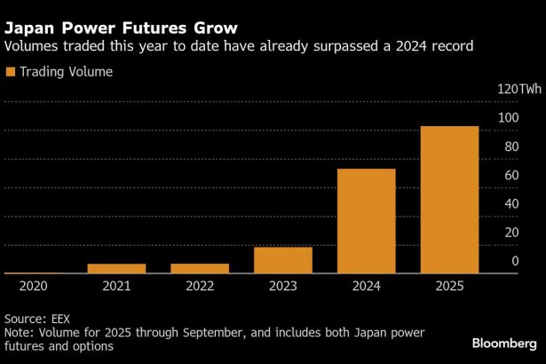 el-plan-de-japon-para-asegurar-el-suministro-de-energia-puede-frenar-la-liquidez-del-mercado