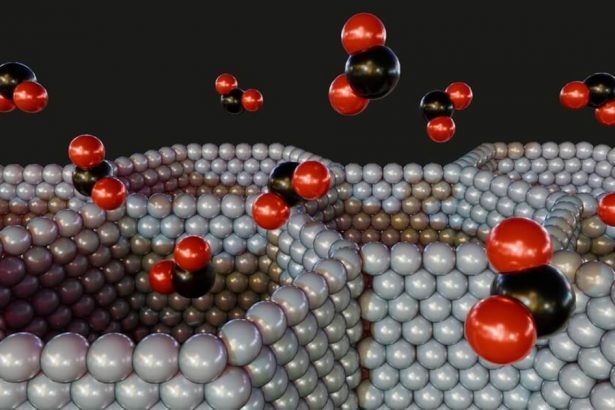 la-solida-tecnologia-mof-«puede-funcionar-como-opcion-de-almacenamiento»,-dice-un-desarrollador-del-reino-unido