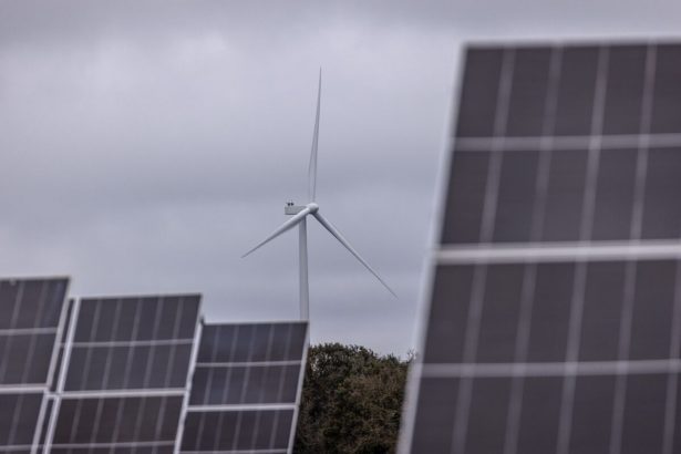 qualitas-apunta-a-acuerdos-de-energia-renovable-con-un-fondo-de-3.250-millones-de-euros