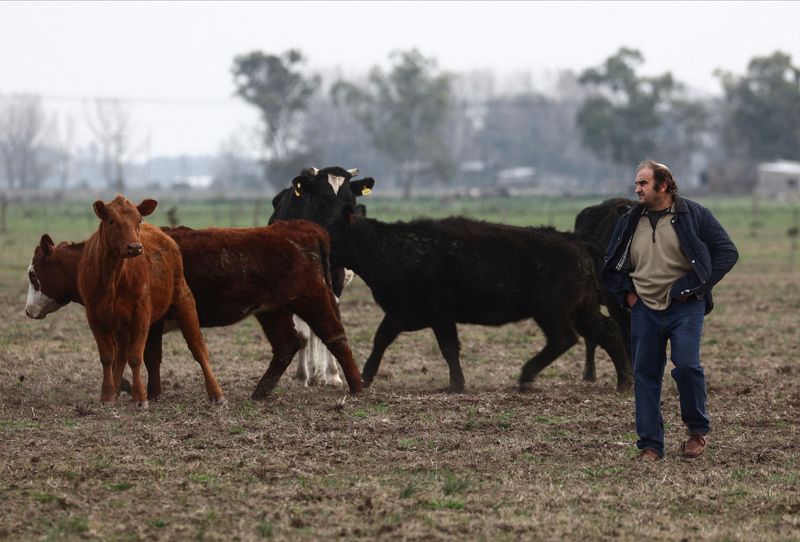 agricultores-argentinos-dan-voto-de-confianza-a-milei-antes-de-las-elecciones-intermedias