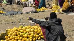 la-fertil-region-de-sudan-donde-los-alimentos-se-pudren-en-medio-del-hambre-y-la-guerra