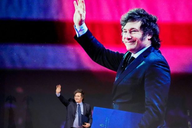 los-argentinos-votaron-en-una-eleccion-decisiva-para-milei