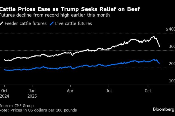 los-futuros-del-ganado-se-desploman-ante-los-llamados-de-trump-a-bajar-los-precios-de-la-carne-vacuna-en-eeuu.