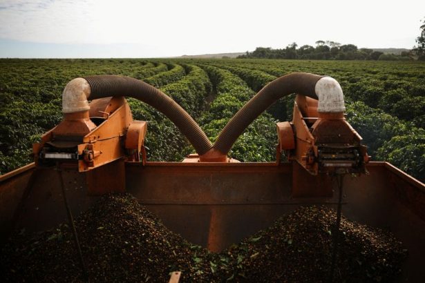 la-propuesta-de-ley-de-deforestacion-de-la-ue-frustra-a-los-exportadores-brasilenos,-dice-rabobank