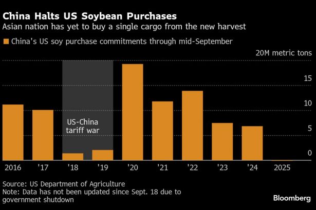china-compra-los-primeros-cargamentos-de-soja-estadounidense-esta-temporada