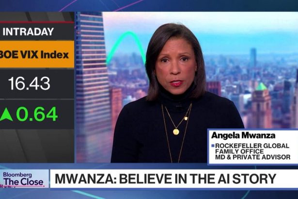 no-necesariamente-vea-una-burbuja-de-ia:-mwanza