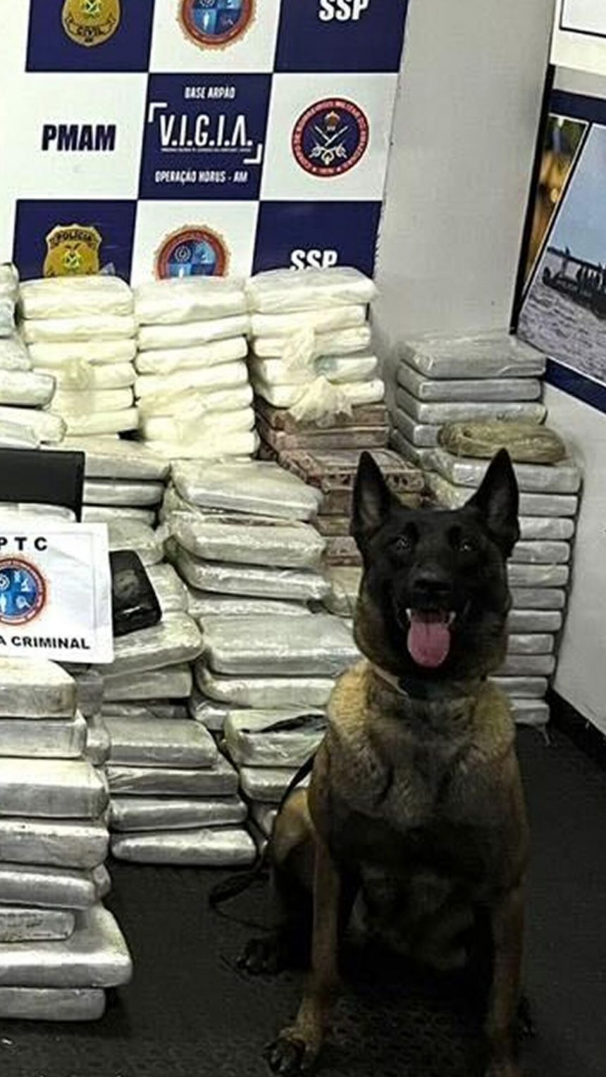 la-edad-de-oro-del-contrabando-de-cocaina-pone-en-riesgo-la-fragil-tregua-de-brasil-con-trump