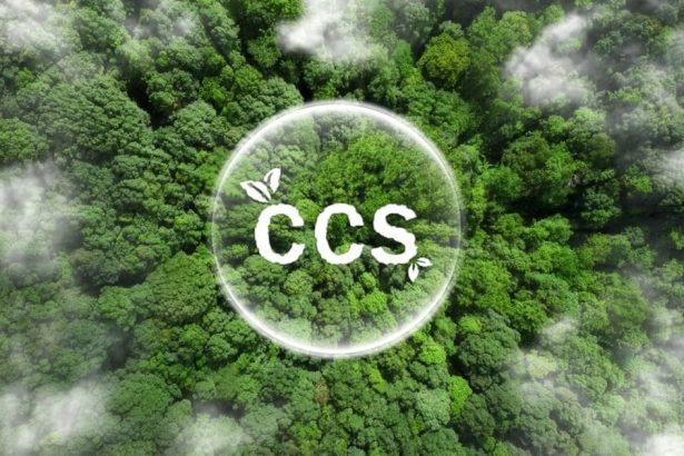 el-plan-de-entrega-de-carbono-del-reino-unido-carece-de-apoyo-industrial,-dice-un-organismo-comercial