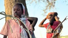 mas-de-60.000-personas-huyen-de-la-ciudad-sudanesa-tras-su-captura-por-la-milicia-rsf,-dice-la-onu