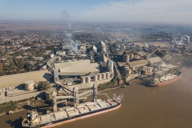 tribunal-argentino-se-pronunciara-sobre-adjudicacion-de-oferta-por-vicentin,-dice-clarin