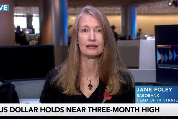el-dolar-estadounidense-es-«mucho-mas-estable»-en-el-futuro,-dice-jane-foley-de-rabobank