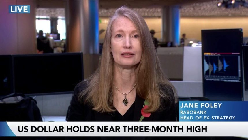 el-dolar-estadounidense-es-«mucho-mas-estable»-en-el-futuro,-dice-jane-foley-de-rabobank