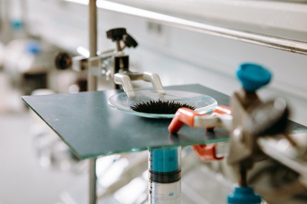 la-empresa-espanola-que-revoluciona-la-produccion-de-biogas