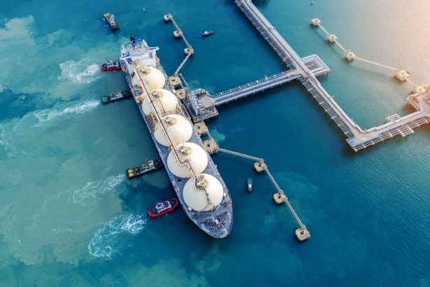 el-gnl-es-un-“combustible-de-destino,-no-de-transicion”