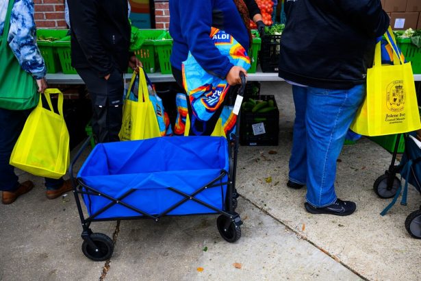 estadounidenses-de-bajos-ingresos-demandan-a-funcionarios-de-trump-para-financiar-beneficios-alimentarios