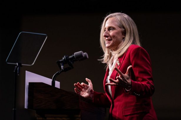 los-democratas-aprovechan-sus-victorias-electorales-y-recurren-a-las-elecciones-intermedias-de-2026