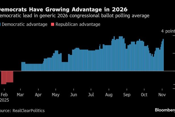 las-victorias-democratas-dan-al-partido-una-hoja-de-ruta-para-vencer-a-trump
