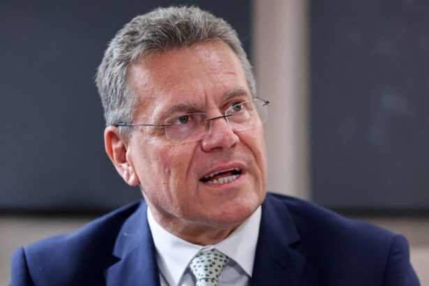 la-ue-y-china-crearon-un-canal-especial-para-garantizar-el-suministro-de-tierras-raras,-dice-el-comisario