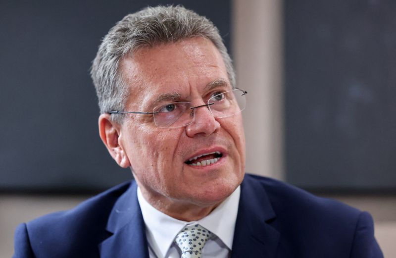 la-ue-y-china-crearon-un-canal-especial-para-garantizar-el-suministro-de-tierras-raras,-dice-el-comisario