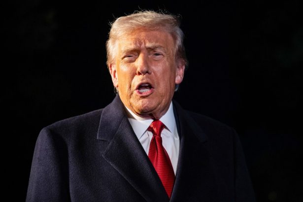 trump-renueva-la-amenaza-de-nigeria-y-cuestiona-el-papel-de-sudafrica-en-el-g20