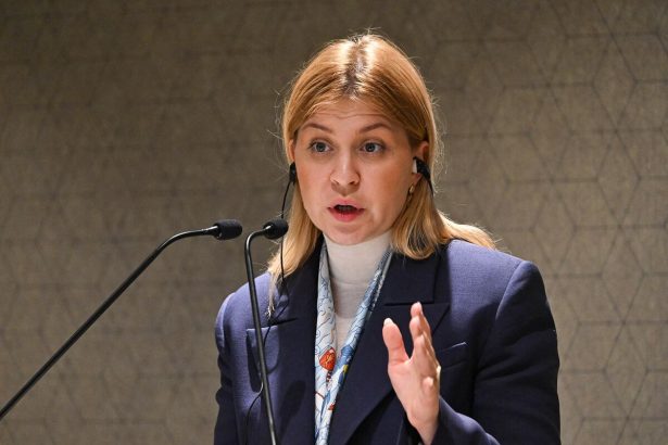 ucrania-mantiene-conversaciones-«positivas»-con-estados-unidos-sobre-misiles,-dice-el-embajador