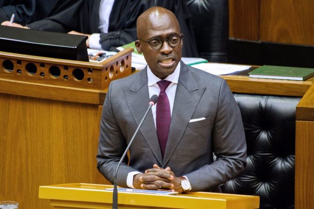 el-ex-ministro-de-finanzas-de-sudafrica,-gigaba,-enfrentara-cargos