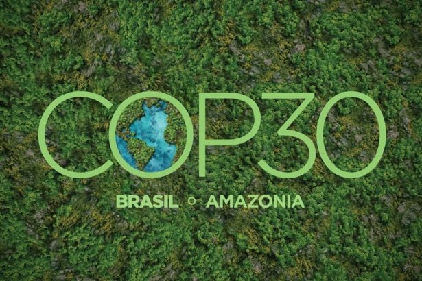 cop30:-¿se-cumplira-el-tema-de-implementacion-para-la-reunion-de-brasil?