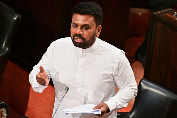 el-presupuesto-de-sri-lanka-apunta-a-inversiones-y-reformas-para-proteger-el-rescate-del-fmi